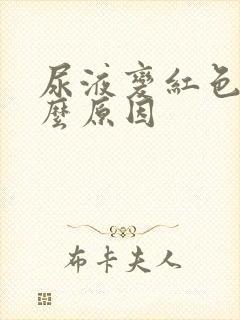 尿液变红色是什么原因