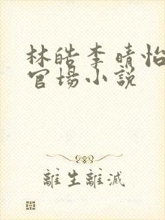 林皓李晴怡重生官场小说