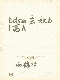 bdsm主奴bl高h