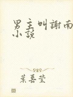 男主叫谢南风的小说