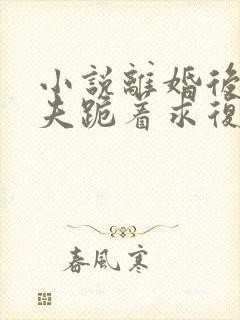 小说离婚后,前夫跪着求复合封面