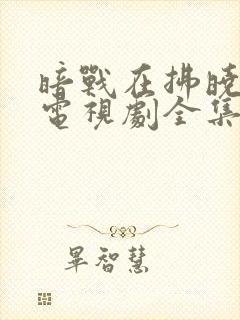 暗战在拂晓之前电视剧全集免费观看封面