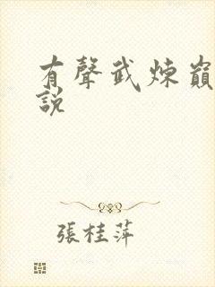 有声武炼巅峰小说