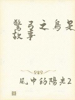 惊弓之鸟是寓言故事封面