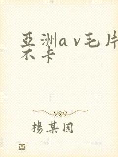 亚洲a v毛片不卡