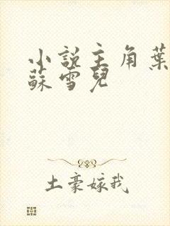 小说主角叶君临苏雪儿