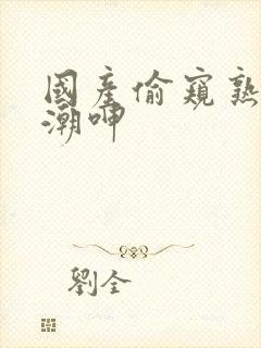 国产偷窥熟妇高潮呻