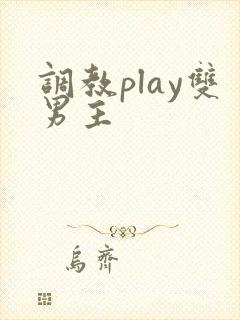 调教play双男主封面