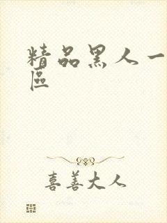 精品黑人一区二区