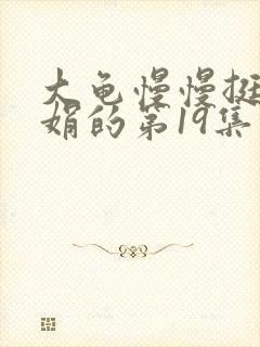 大龟慢慢挺进张娟的第19集