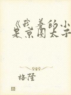 《我养的小白脸是京圈太子爷》