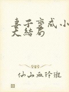 妻子变成小学生大结局