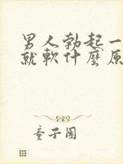 男人勃起一会儿就软什么原因