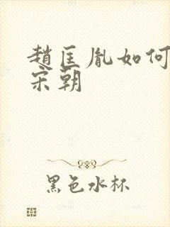 赵匡胤如何建立宋朝