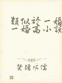类似于一婚还比一婚高小说