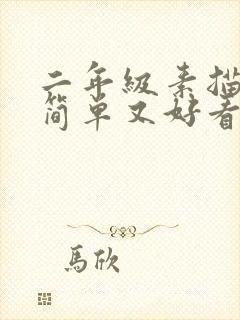 二年级素描画画简单又好看