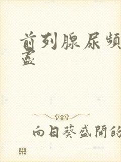 前列腺尿频尿不尽