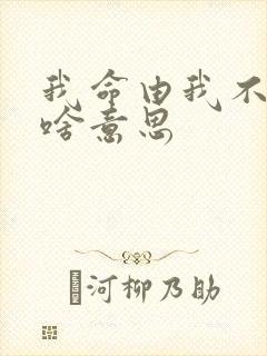 我命由我不由天啥意思