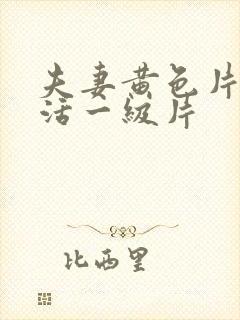 夫妻黄色片性生活一级片