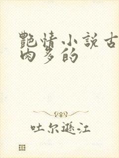 艳情小说古言肉肉多的