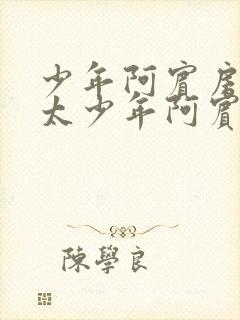 少年阿宾房东太太少年阿宾