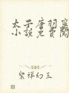 太子唐羽宁婉的小说免费阅读全文