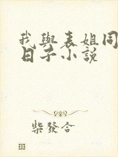 我与表姐同居的日子小说封面