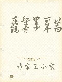 在哪里可以免费观看少年白马醉春风封面