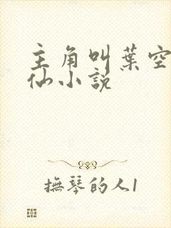 主角叫叶空的修仙小说