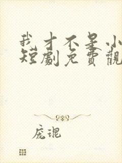 我才不是小可怜短剧免费观看全集