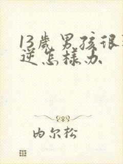 13岁男孩很叛逆怎样办