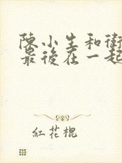 陈小生和卫英姿最后在一起了吗封面