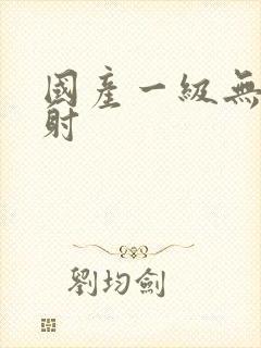 国产一级无套内射