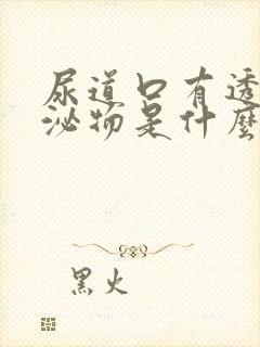 尿道口有透明分泌物是什么原因