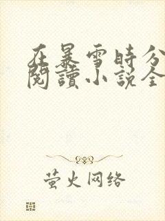 在暴雪时分在线阅读小说全文