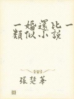 一婚还比一婚高类似小说