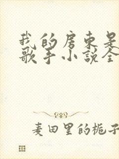 我的房东是偶像歌手小说全文阅读