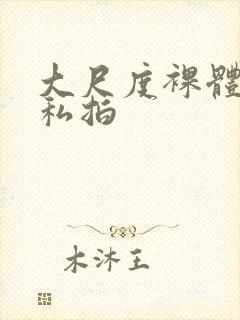 大尺度裸体国模私拍封面