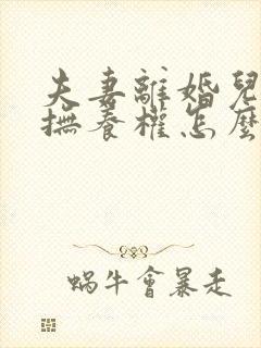 夫妻离婚儿子的抚养权怎么判