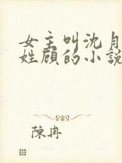 女主叫沈月男主姓顾的小说封面