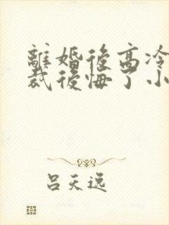 离婚后高冷女总裁后悔了小说封面