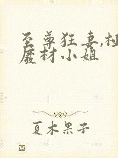 至尊狂妻,极品废材小姐