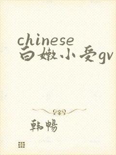 chinese白嫩小受gv