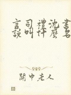 言司礼沈书欣小说叫什么名字