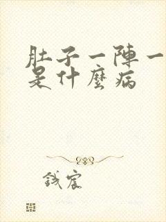 肚子一阵一阵痛是什么病封面