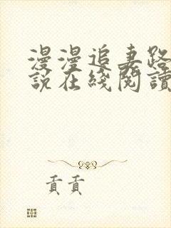 漫漫追妻路 小说在线阅读封面