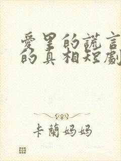 爱里的谎言仇恨的真相短剧免费观看