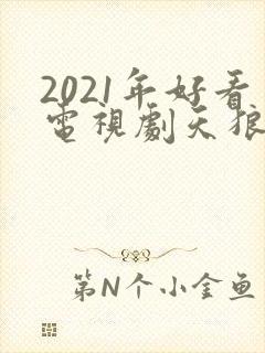 2021年好看电视剧天狼影视