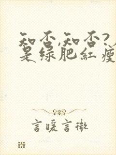 知否,知否?应是绿肥红瘦原著小说