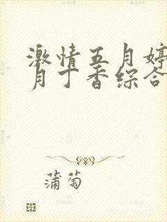 激情五月婷婷六月丁香综合基地网